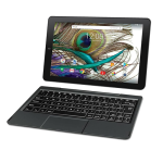 RCA 10 Viking Pro 2-in-1